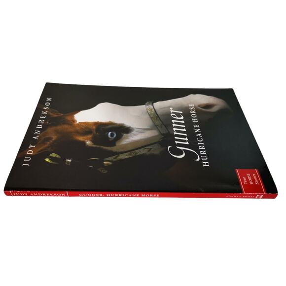 Gunner: Hurricane Horse by Andrekson Judy - Picture 3 of 4